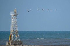 春を求めて宇土半島へ　１