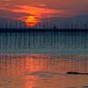 半だるま夕陽？　1