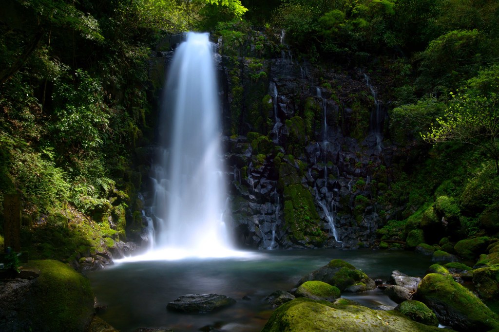 新緑の「白糸の滝」　１