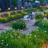 夕暮れ時の花見　４完