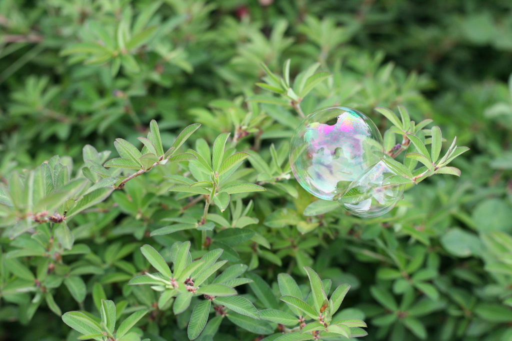 Soap bubble