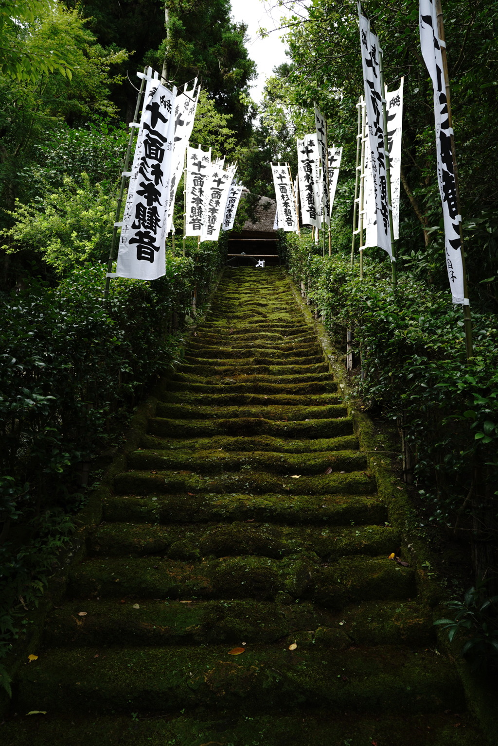 一段に刻む