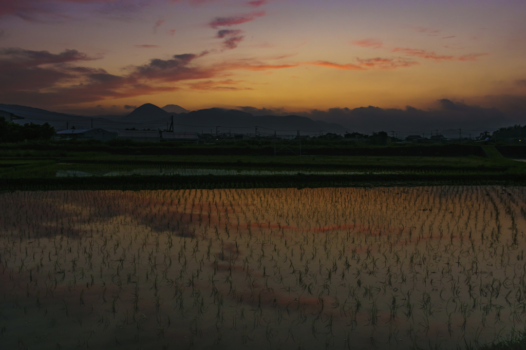 夕焼け