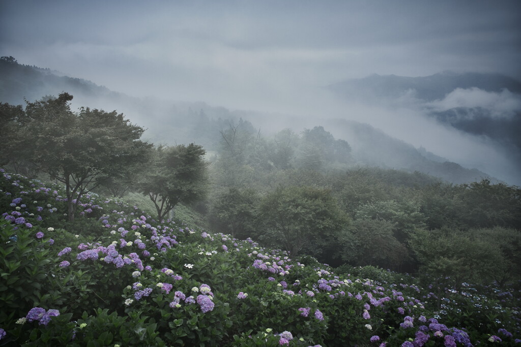 山の朝