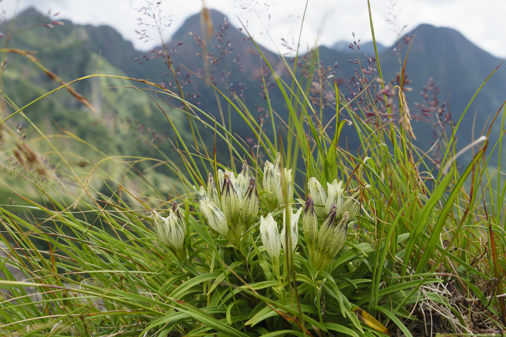 硫黄岳頂上