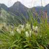 硫黄岳頂上