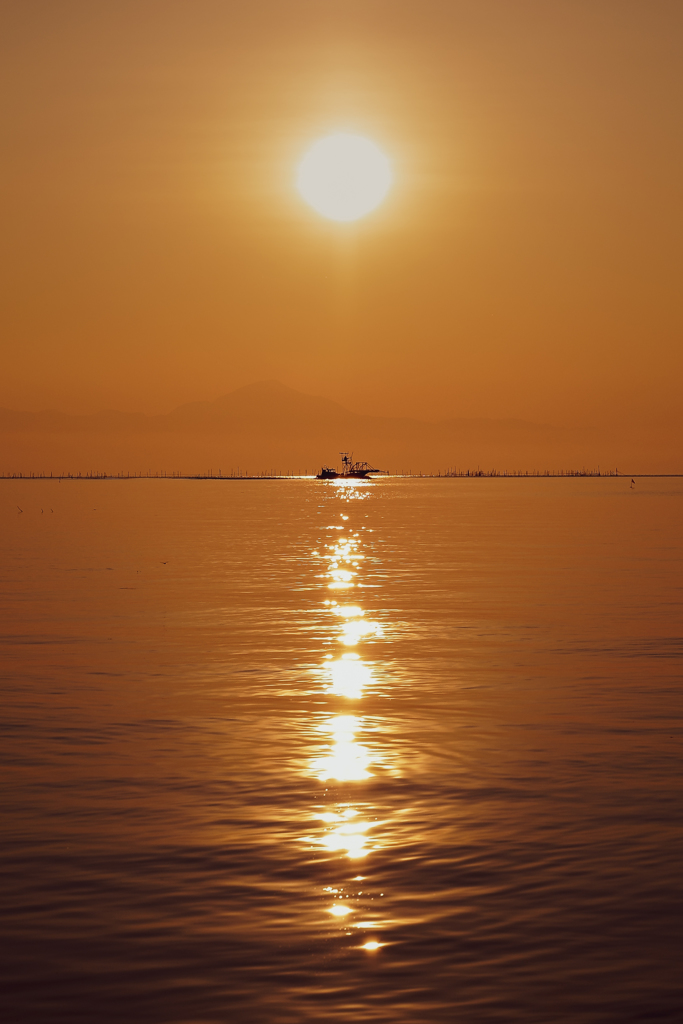 琵琶湖の朝