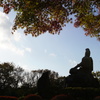 源氏の思い