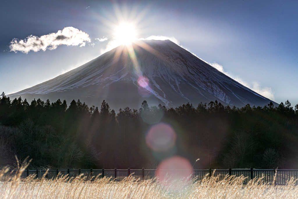 富士山の日