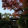 海蔵寺