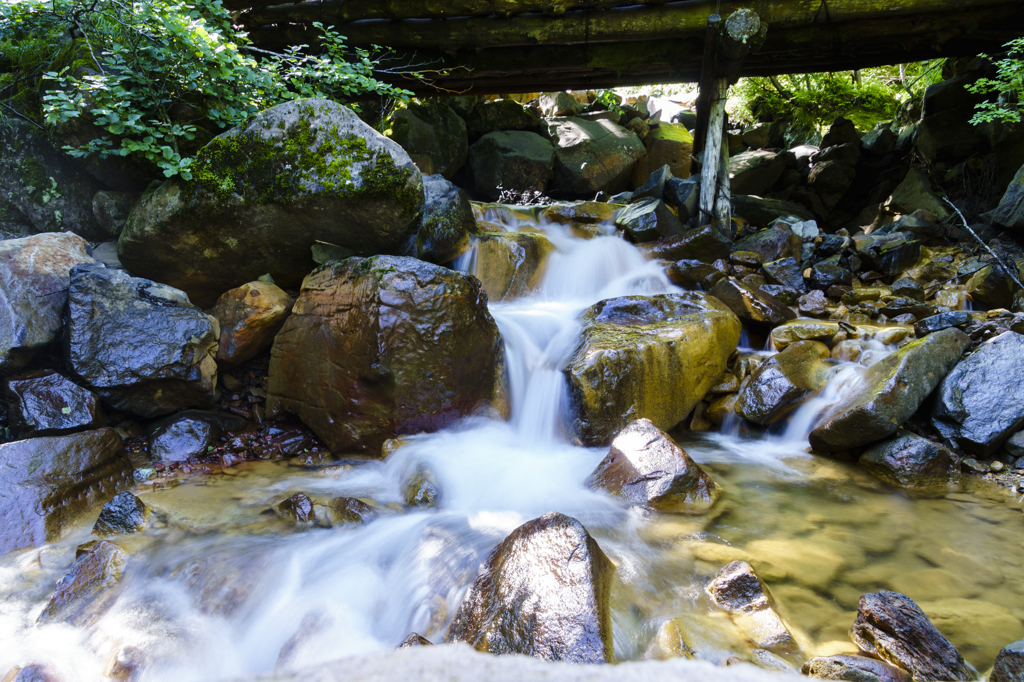 八ヶ岳 夏沢鉱泉