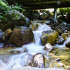 八ヶ岳 夏沢鉱泉