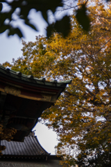 紅葉(神社)