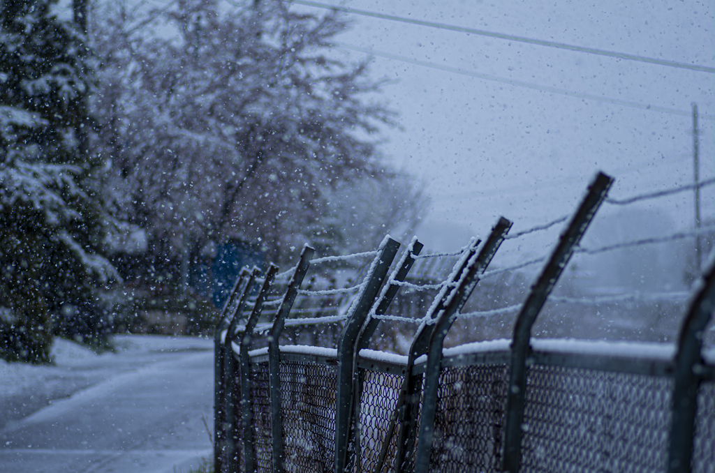 雪スナップ