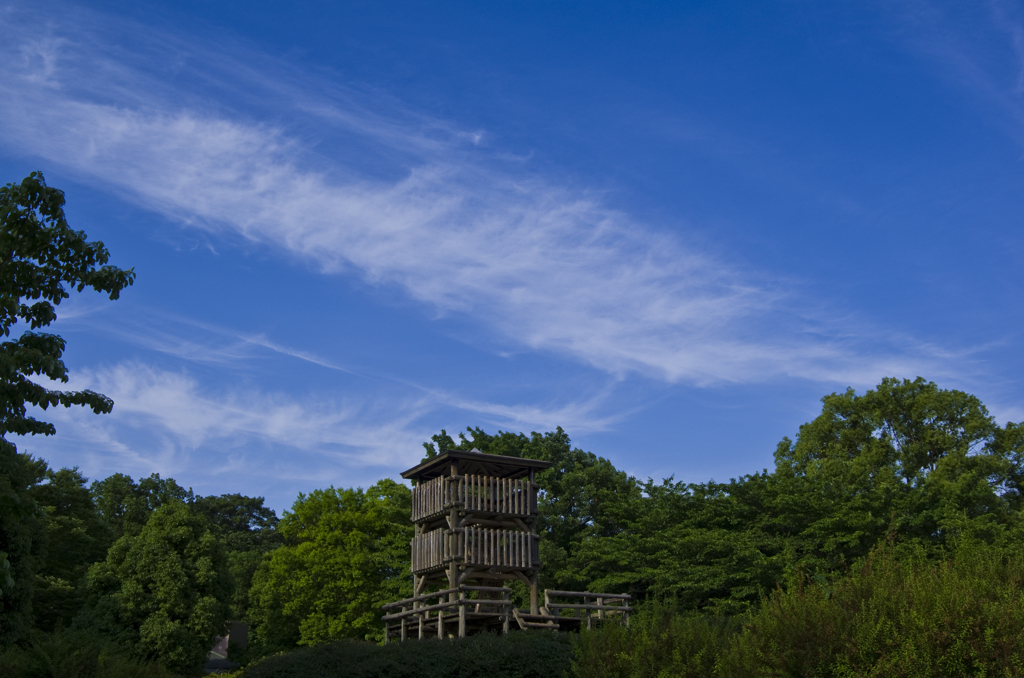 雲 2015.05.30