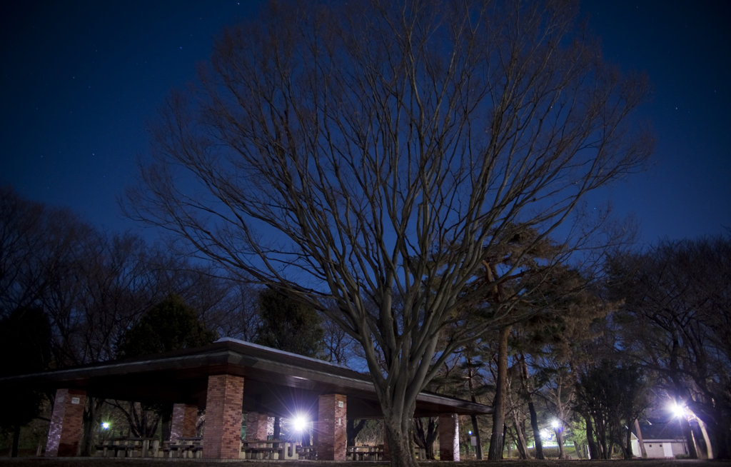 夜の公園