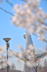 のぞき見…♡