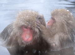 ママに感謝の気持ちをこめて…♡