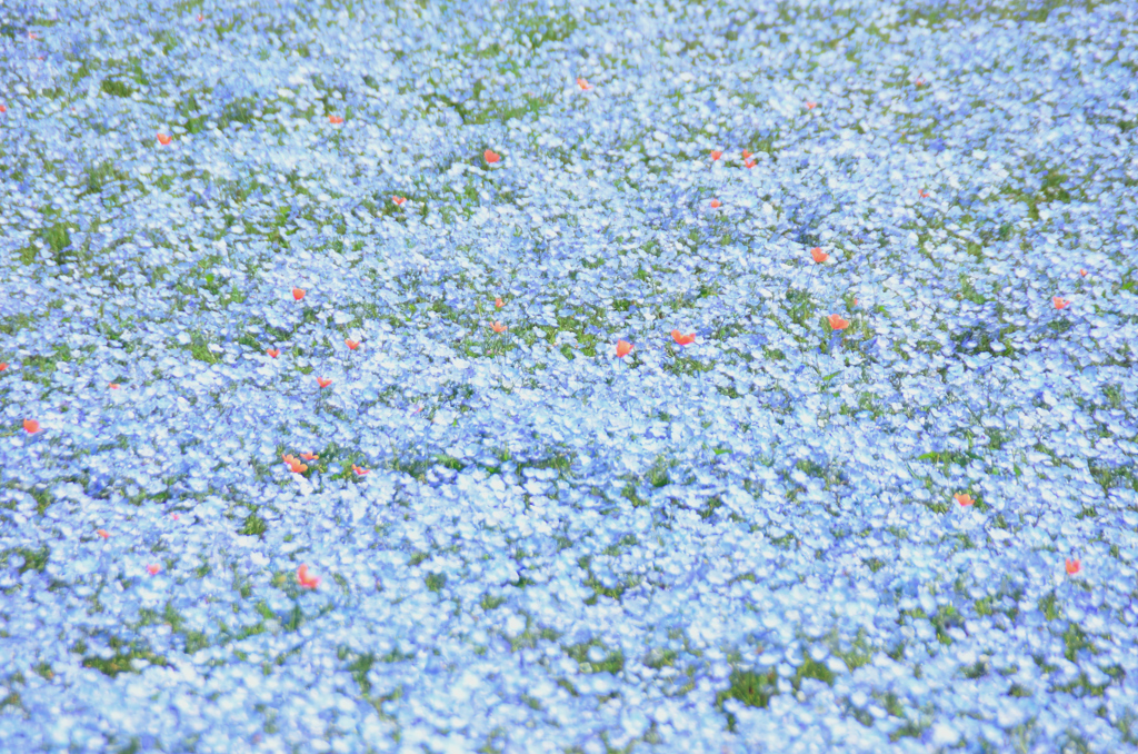 blue