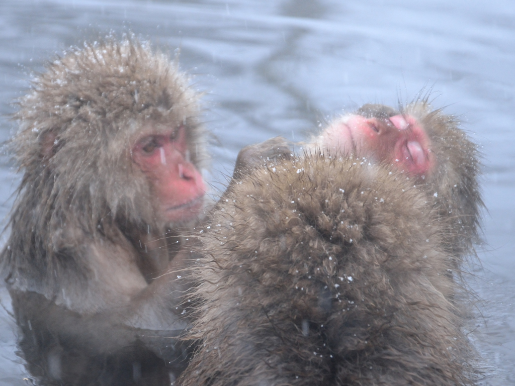 きもちぃ～～～♡