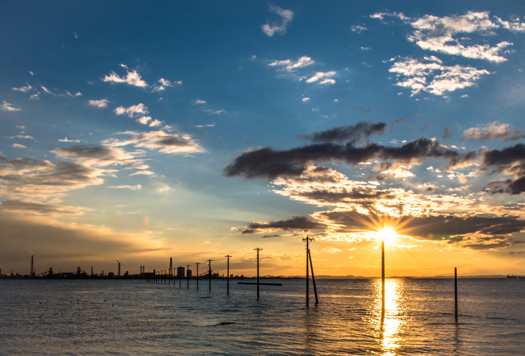 明日もあなたを待ってる