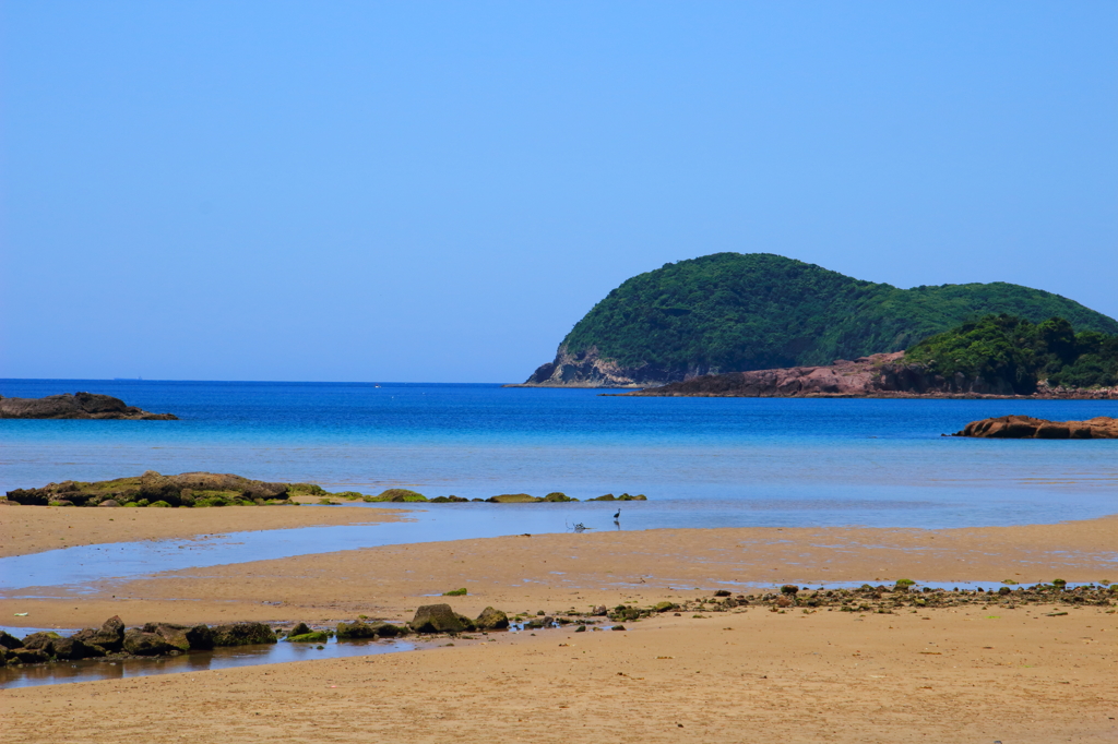 阿久根の海