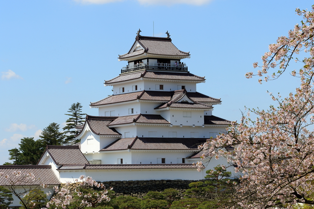 鶴ヶ城　桜②