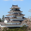 鶴ヶ城　桜②