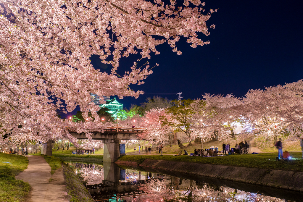 岡崎城と桜2016