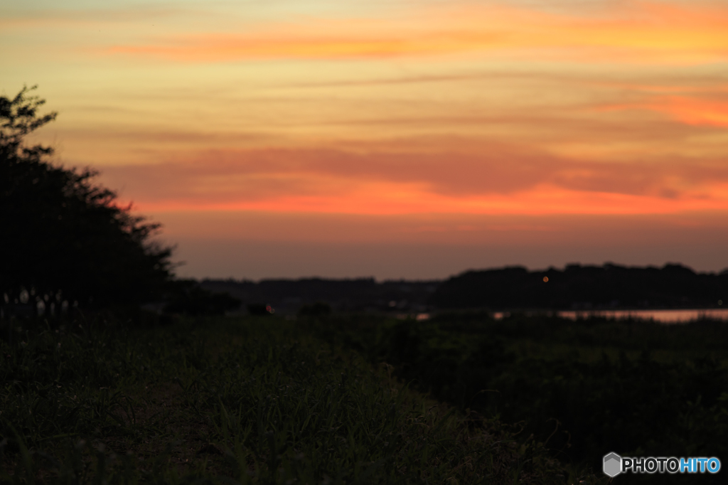 印旛沼夕暮れ３
