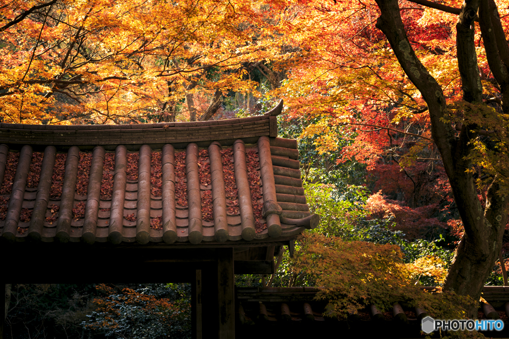 瑞泉寺山門