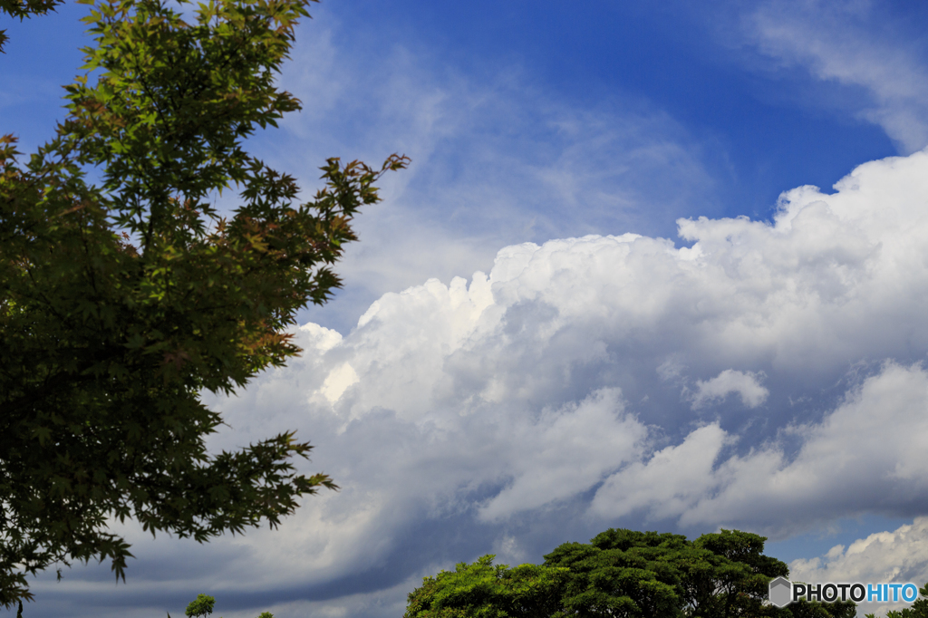 梅雨晴れの空