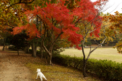 写真なんていーから、早くぅ！
