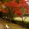 写真なんていーから、早くぅ！