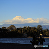 大瀬崎より富士山2