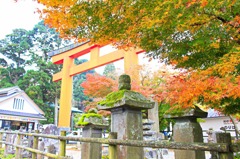石碑と紅葉