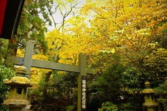 箱根神社武道場