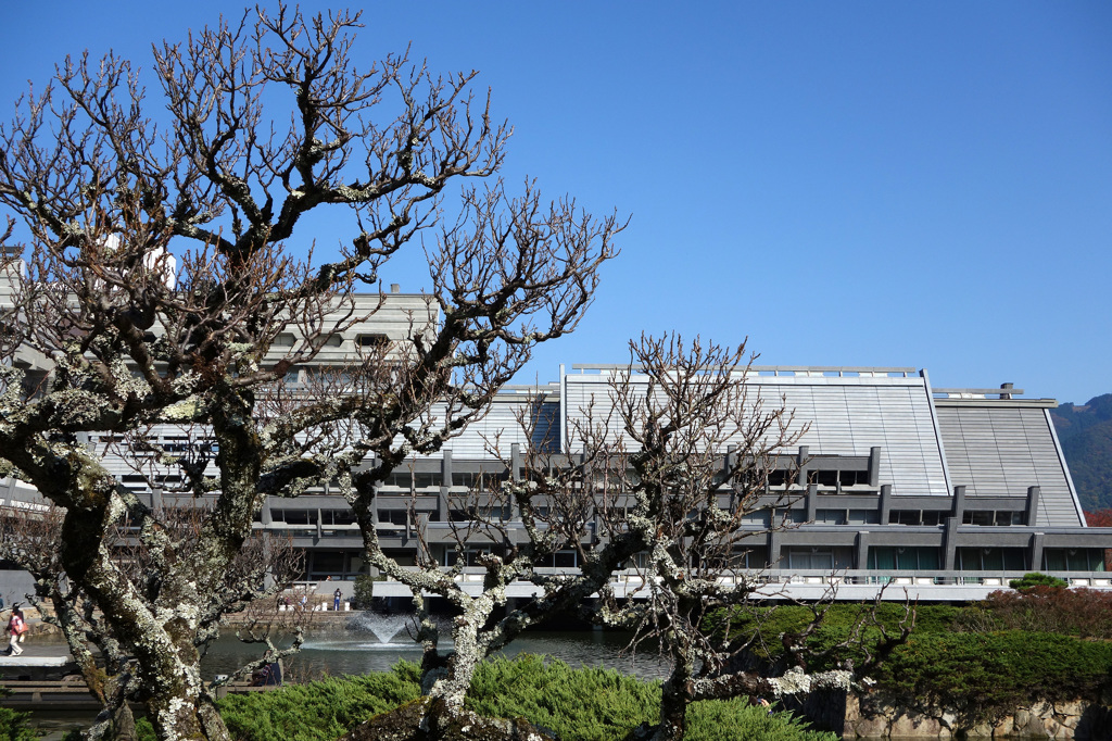 京都(2014) #30