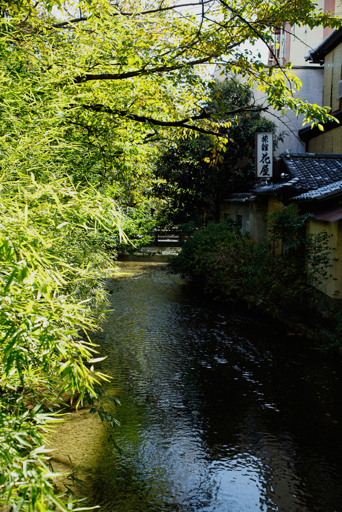 京都(2014) #20