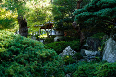 京都(2014) #23