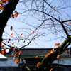 京都(2014) #39