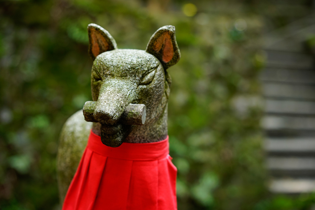 京都(2014) #4