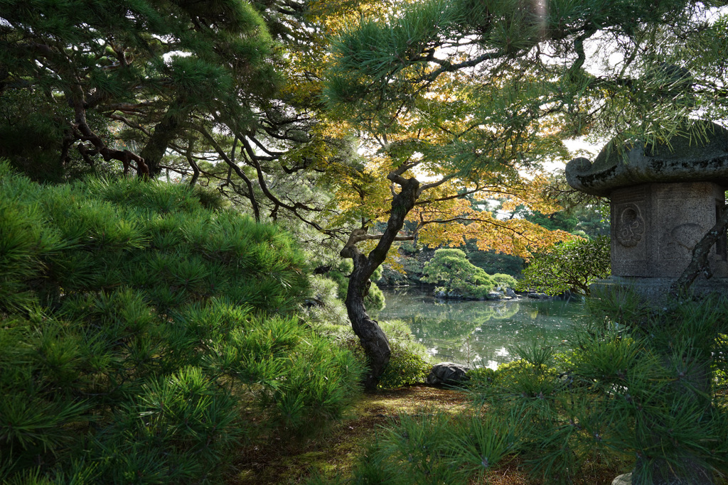 京都(2015) #40