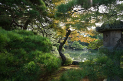 京都(2015) #40