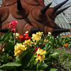 at Kyoto Botanical Garden(2015) #29
