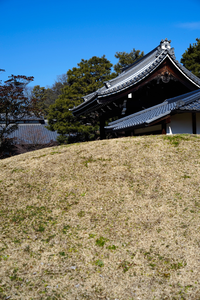 京都(2015) #2