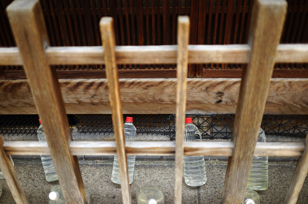 京都(2015) #20