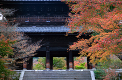 秋の古刹めぐり--南禅寺