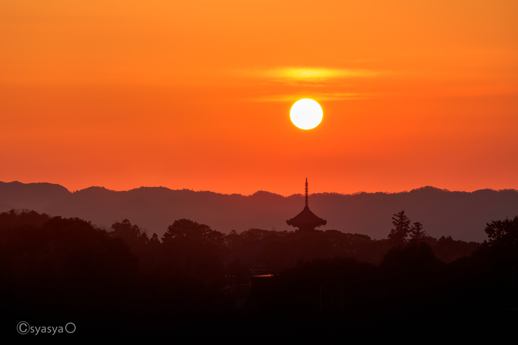 太陽の塔