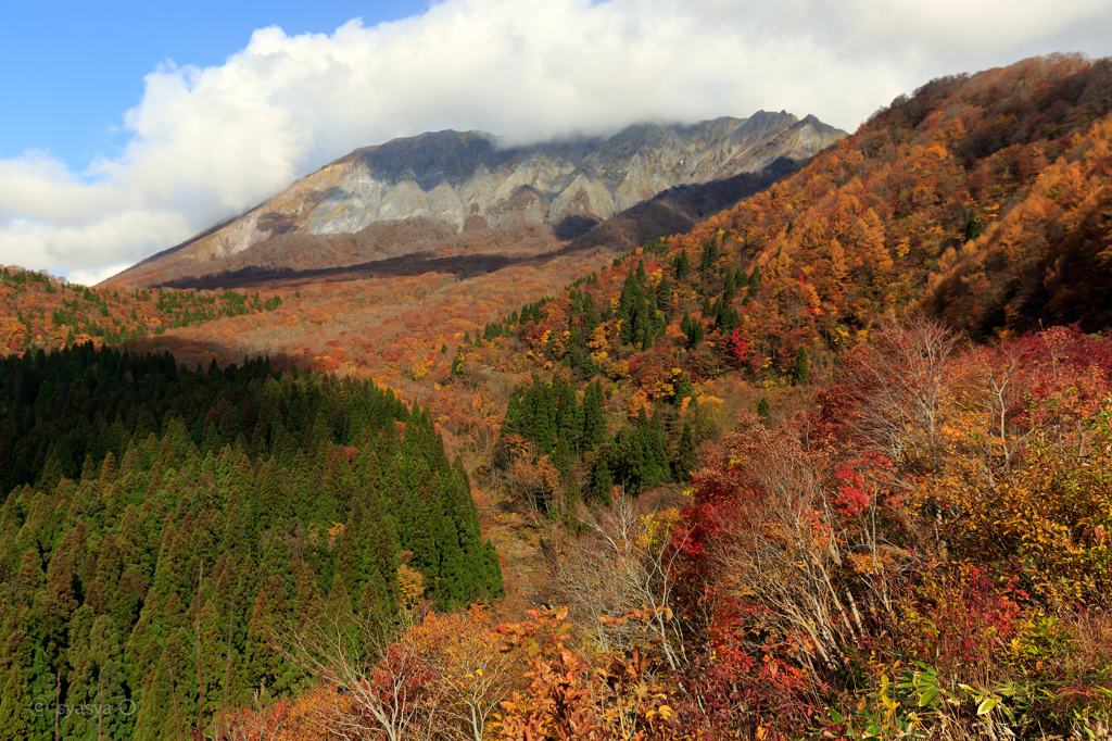 ☆大山の紅葉